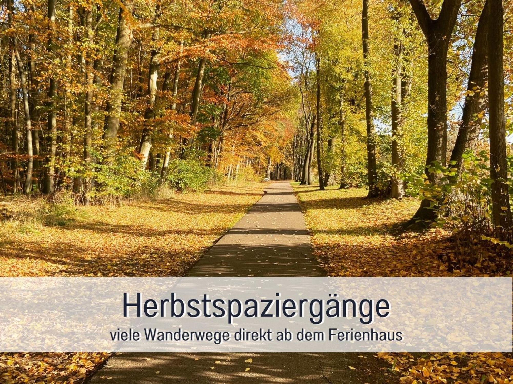 Unter Göhren Strandhaus Mathea - Ruhige Lage Direkt Am Fleesensee - Parkplatz, Kamin, Sauna - Familienfreundlich מראה חיצוני תמונה